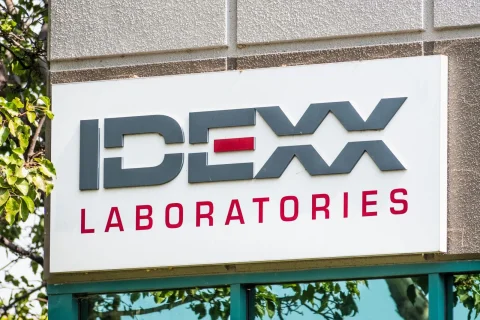 هل فشلت أسهم IDEXX Laboratories في المنافسة مع داو؟