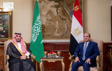 السعودية ومصر تتعاونان لتأمين أمن البحر الأحمر