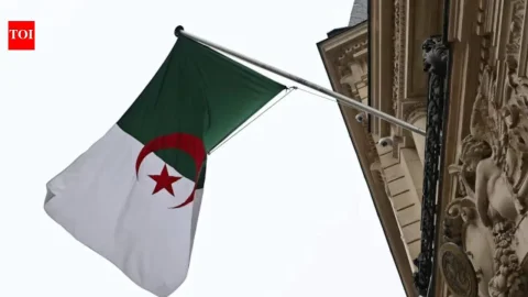 Bruch der diplomatischen Beziehungen Algeriens mit den VAE aufgrund feindlicher Handlungen