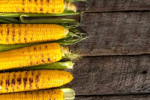 Weizen an der Schwelle zum USDA-Berichtstag: Märkte warten auf wichtige Nachrichten