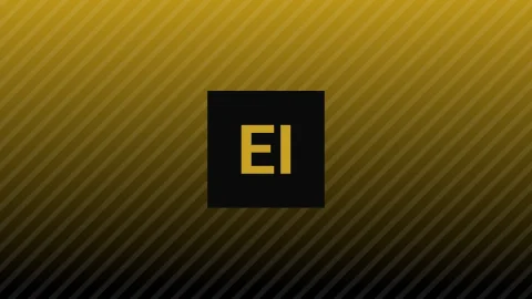 Rejane Ribakina: Vom Hotelzimmer zur US-Open-Meisterschaft