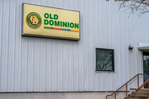 عملکرد سهام Old Dominion Freight در برابر رقبا: برنده یا بازنده؟